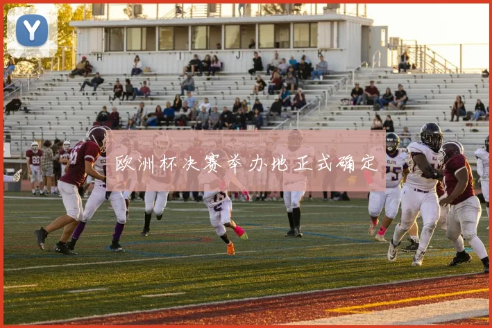 欧洲杯决赛举办地正式确定
