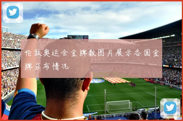 伦敦奥运会金牌数图片展示各国金牌分布情况